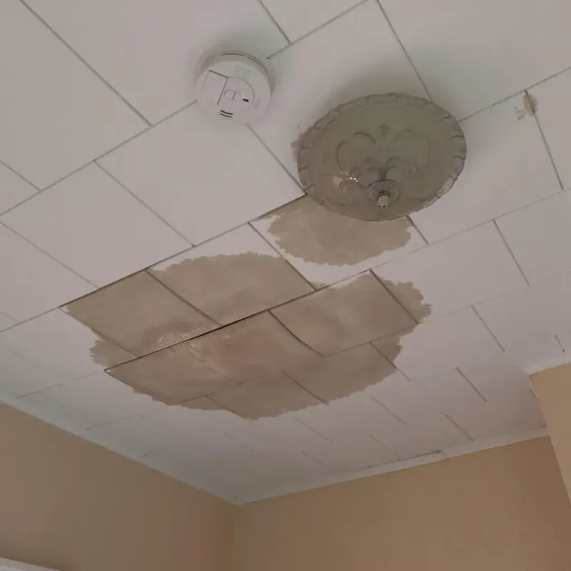 Ceiling Water Damage Repair in Longtown, OK