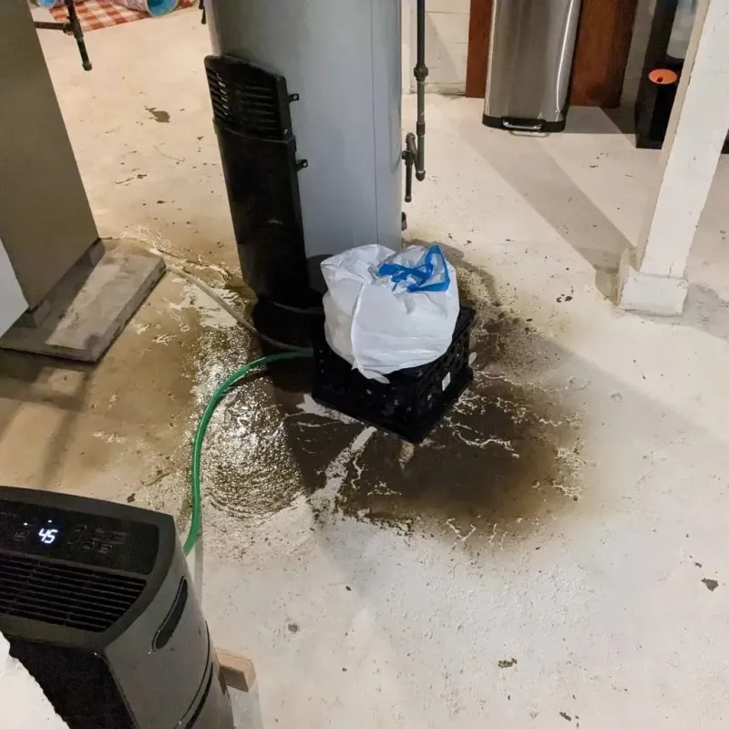 Sewage Backup Cleanup Service in Longtown, OK